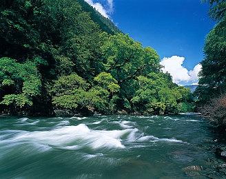 厉害了！玩家拼凑出《塞尔达：王国之泪》空岛地图